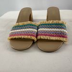 J.Crew J. Crew Woven Mule Block Heels in Rainbow Raffia Multi Size 7.5 Photo 4
