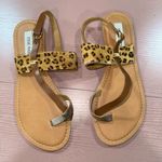 Steve Madden Finale Size 9 Leopard print Sandal Photo 0