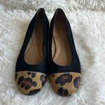 Aerosoles  Bechincolor Black Suede Ballet Flat Leopard Calf Hair Toe Size 7.5 ♣️ Photo 2