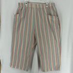 Briggs New York Briggs 80’s Casual Striped Long Shorts Womens Large Pastel Multicolor Photo 0