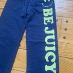 Juicy Couture  Pam Gela Be Juicy Straight Leg Sweatpants Blue Women's Petite Photo 2