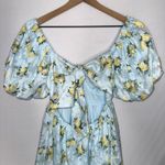 Altar'd State Floral Puffy Sleeve Peasant Babydoll Flowy Dress Fairy Coquette Photo 10