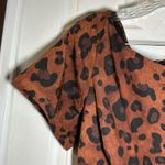 Zapelle Brown/Black Animal Print Short Sleeve Aline Midi Dress size 1X Photo 4