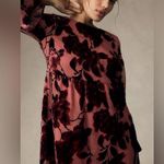 Hutch Anthropologie $188  Mini Velvet Velour Baby Doll Dress Medium Photo 1