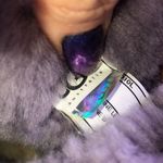 UGG  Purple Bailey Button Boots   Photo 5