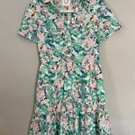 Lili Sidonio Sweet Daydreams Light Green Hirst Print Shirt Dress NEW XS Pink Photo 1