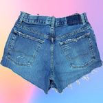 American Eagle AE Distressed Denim Shorts Photo 1