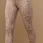 TANLINES By Sivan Ayla Leopard Cheetah Pink Temescal Canyon Leggings Large Pink Photo 0