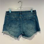 Pistola  Women's Blue Denim festival Shorts Photo 2