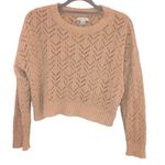 American Eagle chenille Pointelle cropped sweater tan size small Photo 0