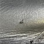 UGG  Australia Women's Black Leather Shoes/Boots Size 10 SKU 5515 Photo 7