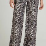 Pacific trail Pacsun jeans low rise Photo 1