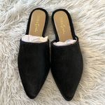 Diba True  High Up Mule ponyhair in black size 8.5 Photo 3