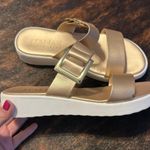 Italian Shoemakers Italian shoemaker Shoes Photo 0