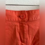 Ann Taylor LOFT Summer Shorts Photo 3