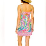 Lilly Pulitzer Shelli Stretch Shift
Come Out Of Your Shell Tie-Back Dress Sz 4 Photo 5