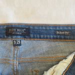 Judy Blue Size 9/29 Buffalo Plaid Patch Skinny Blue Ripped Denim Jeans JB8268DK Photo 2