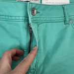 Cato Sz 18W Shorts Classic High Rise Women’s Shape Enhancing Curvy Stretch Teal Photo 5