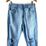 American Eagle Women’s Distressed Curvy Mom Jeans (8) Photo 9