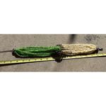 Vintage Green Jade Agate Glass Multi Strand Beaded Women’s Necklace Sz 19” Photo 8