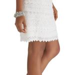 White House | Black Market  Lace Knee Length Skirt Photo 1