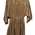 Bronze Animal Print Slip On Dress Small Brown Photo 12