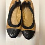 Tory Burch  Tan and Black Leather Flats Photo 1