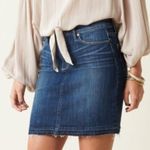 Paige Denim Skirt Photo 0