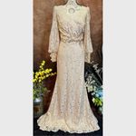 Mac Duggal Lace Long Sleeve V Neck Embellished Gown Blush size 12 Photo 3