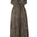 Forever 21 Strapless Tube Leopard Animal Leopard Maxi Summer Small Chic Casual Cute Dress Photo 0