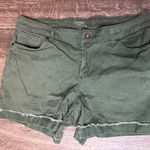 Time and Tru Green Women's Shorts Size 14 Photo 0