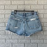 AGOLDE Parker Denim Shorts Distressed Size 29 Photo 3