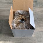 Swavorski Swarovski crystal caged bag Photo 3