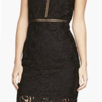 Bardot  Kara Lace Halter Midi Dress Backless Party Sheath Sheer Gemma LBD Size 6 Photo 0