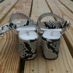 Anne Klein Women’s Padrino Metallic Snake Print Sandal Sz 8 Photo 4