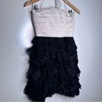 Alice + Olivia  Black and White Silk Blend Ruffle Skirt Mini Dress Size 2 Photo 2