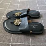 Patricia Nash  Leather Thong Flat Sandals Signature Compass Photo 4