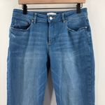 Loft  Ann Taylor Jeans Girlfriend SZ 29/8 Cotton Stretch Mid Indigo Wash Curvy Photo 10