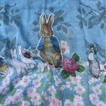 Vintage Beatrix Potter Peter Rabbit Scarf Polyester 74 x 18.5. Blue Photo 1