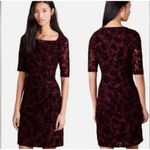 Anthropologie  Maeve Elorn Sheath Dress Women 6 US Red Black Lace Ruched Romantic Photo 13