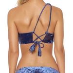 Red Carter Blue Velvet Bikini Top Photo 2