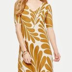 Ann Taylor Fan Leaf Sweater Dress Photo 0