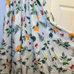 Disney Fruit Midi Dress Photo 5