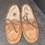 UGG Slippers Photo 1