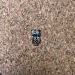 Origami Owl - Owl Charm Photo 0