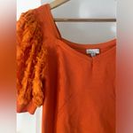 Current Air  Marigold Knit Top Photo 3