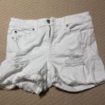 American Eagle Shorts Photo 0