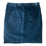 Anthropologie Holding horses size 30 medium denim pencil skirt boho Photo 2