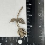 Giovanni Silver Toned Rose Bud Flower Brooch Pin Photo 4