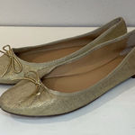 Banana Republic Women's Robin Almond-Toe Ballet Flat Size 9.5 Photo 0